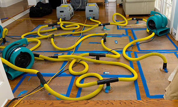 Professional Burst Pipe Water Damage technician working in Deer Lodge, TN